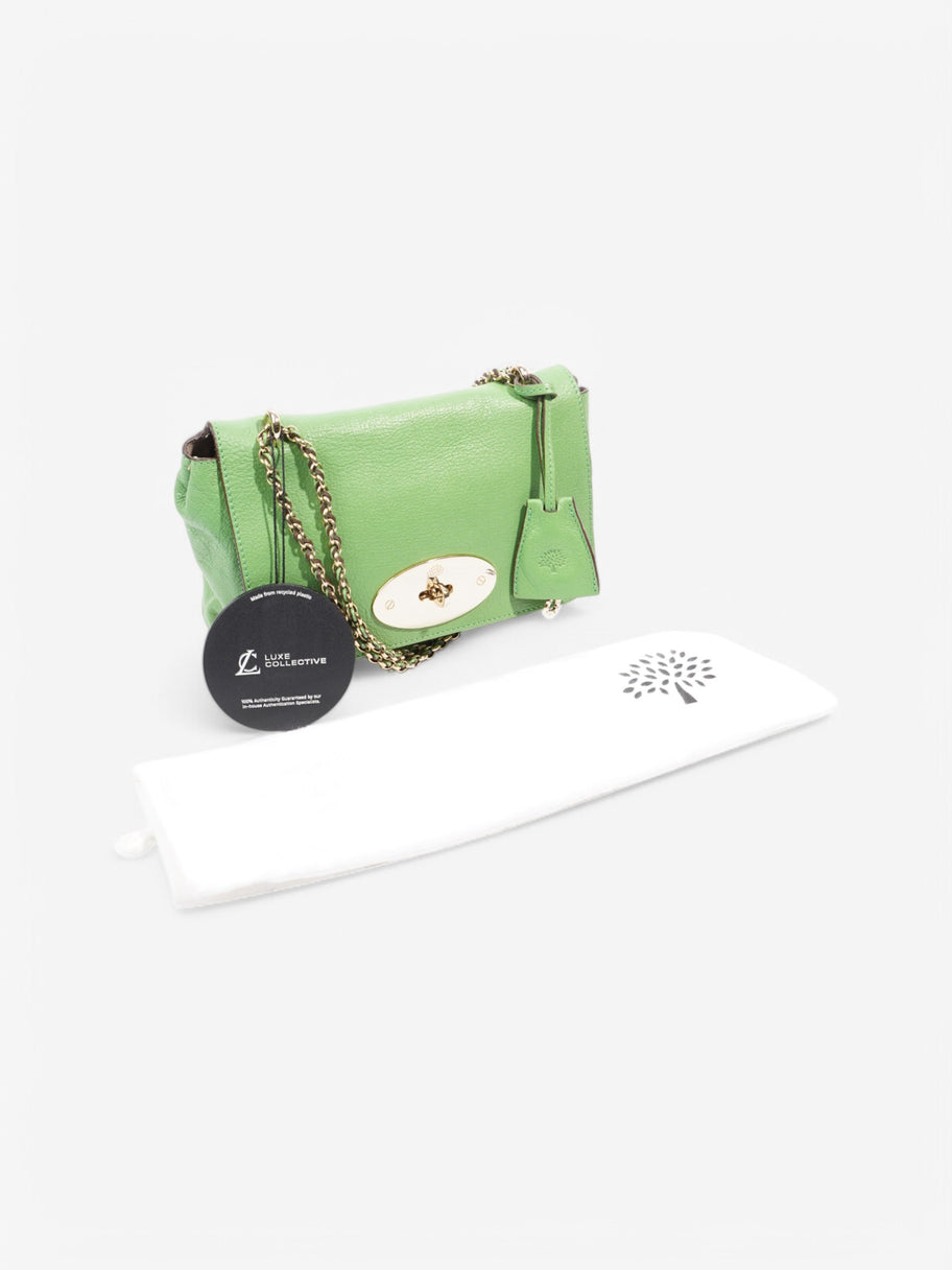 Mulberry Lily Green Leather Image 10