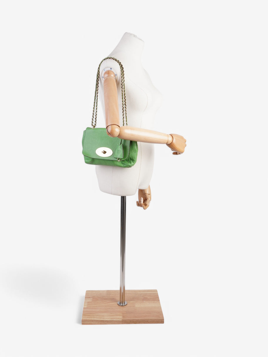 Mulberry Lily Green Leather Image 2