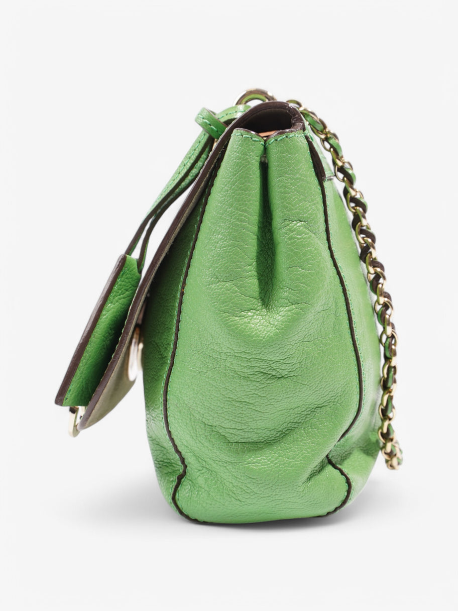 Mulberry Lily Green Leather Image 3