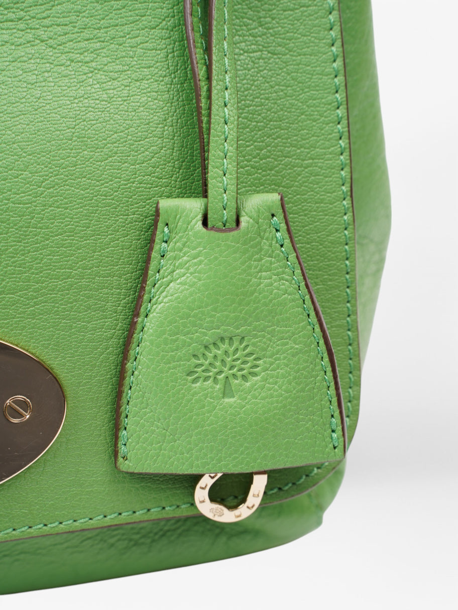 Mulberry Lily Green Leather Image 7