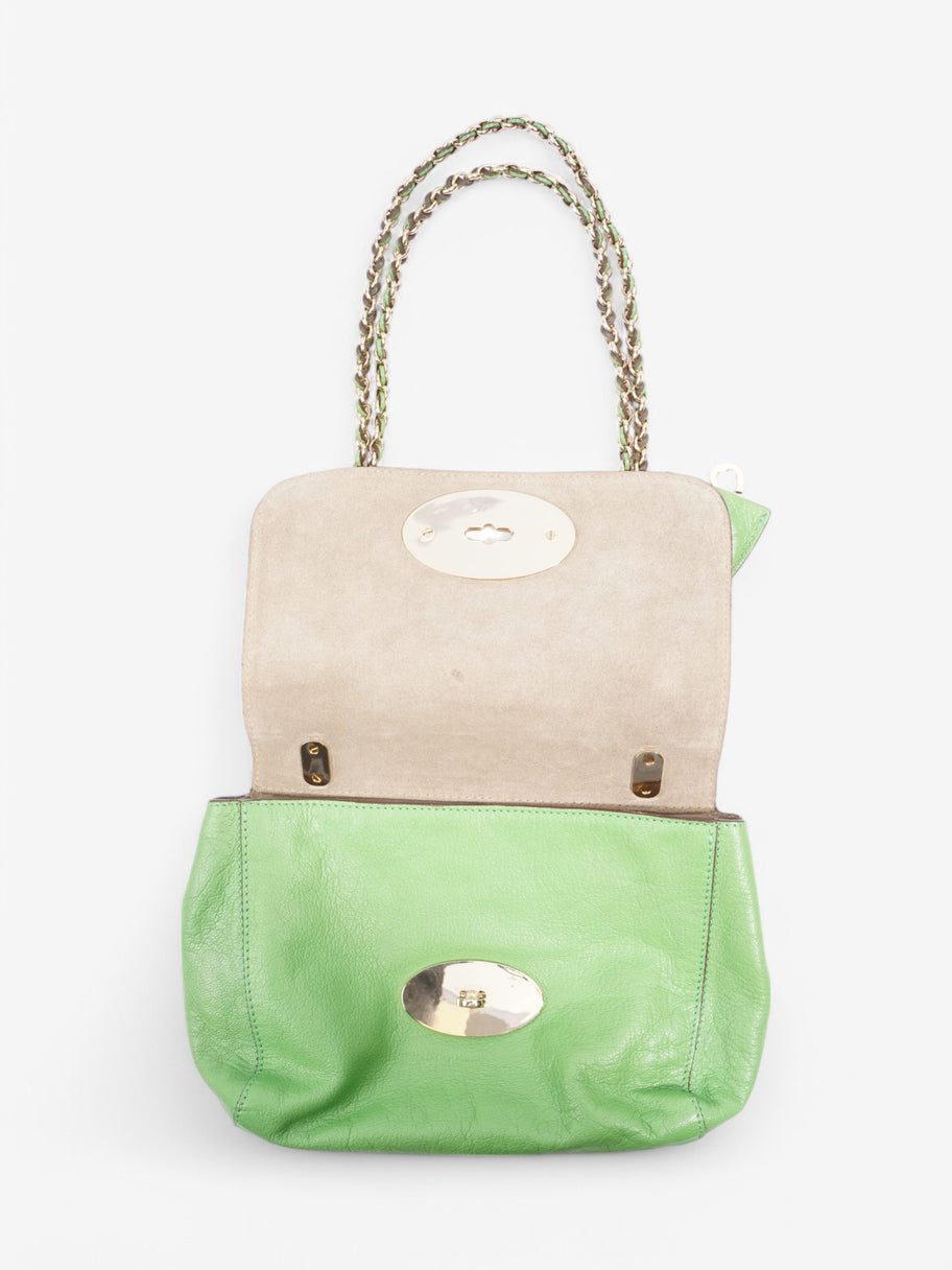 Mulberry Lily Green Leather Image 8