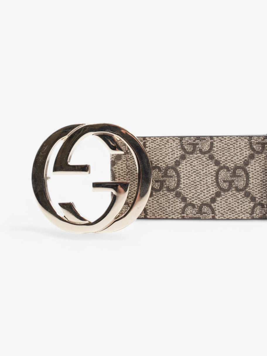Gucci Interlocking G Belt Supreme / Brown Coated Canvas 75