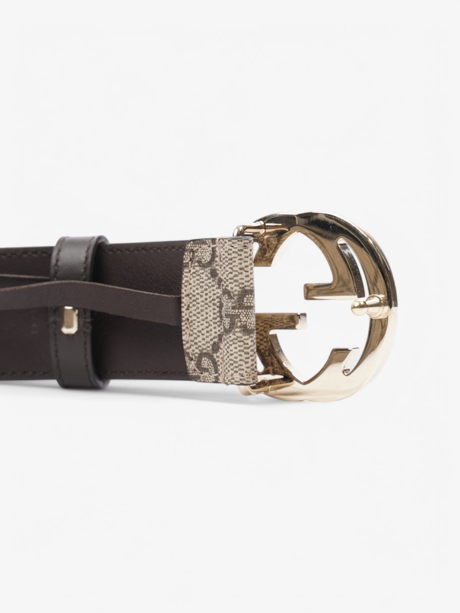 Gucci Interlocking G Belt Supreme / Brown Coated Canvas 75