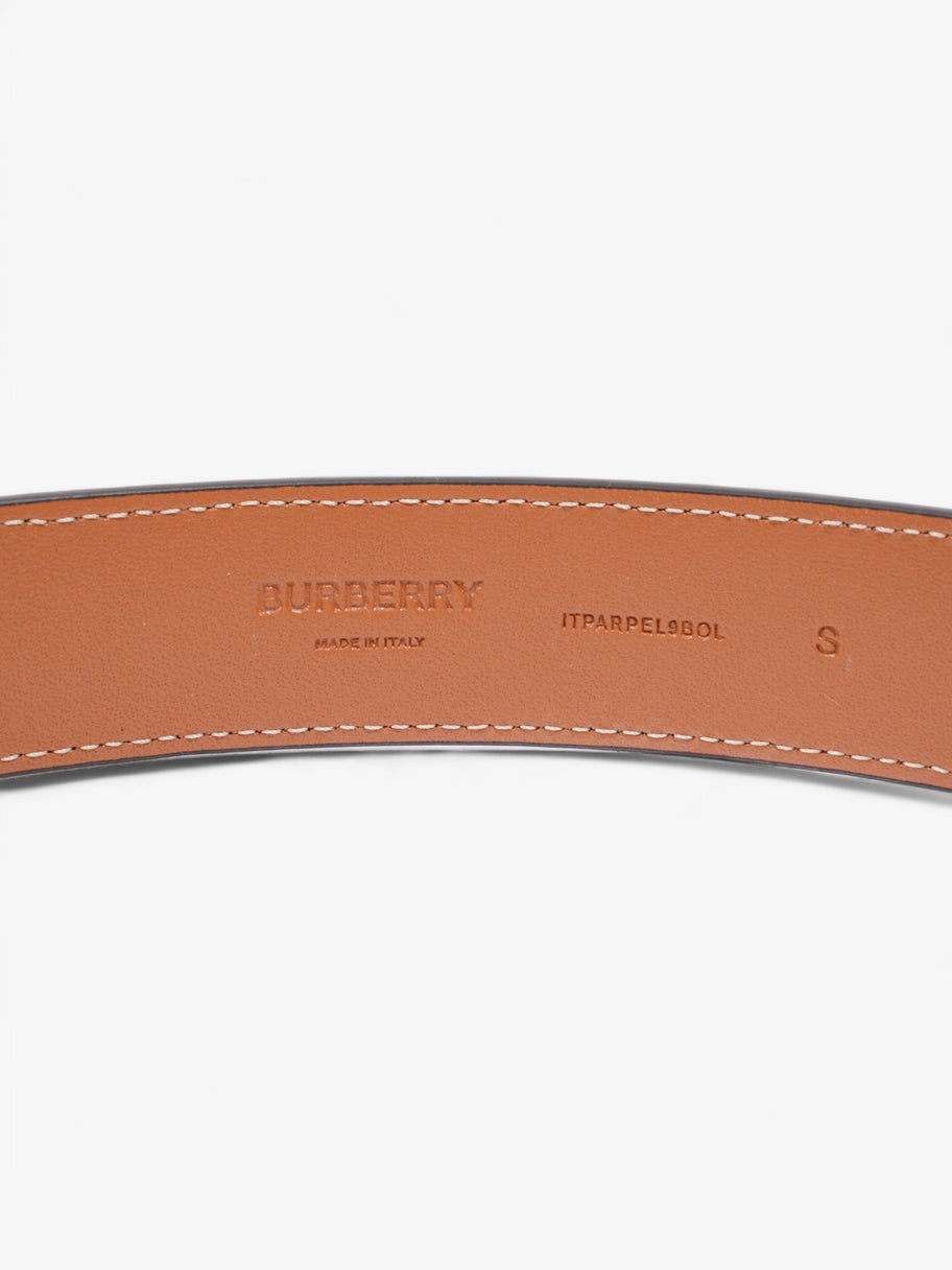 Burberry TB Belt Vintage Check / Briar Brown / Gold Canvas Small Image 4